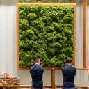 Two professionals carefully installing a large wall-mounted nature art piece in a bright, modern office lobby, with tools nearby.