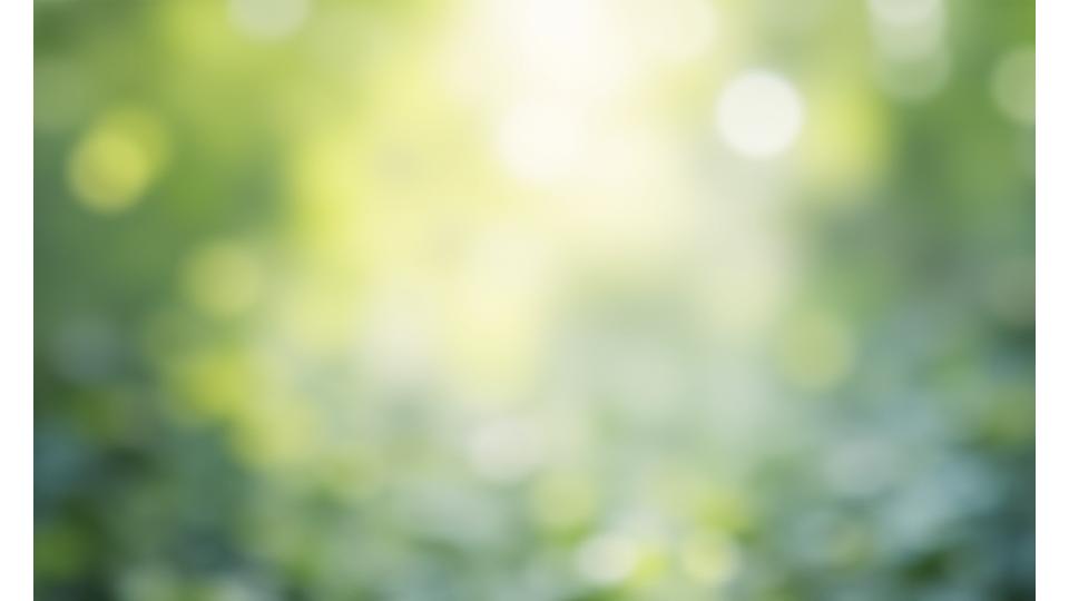 A serene legal document background with a blurred natural element, symbolizing clarity and nature's balance in PrulDeniquor's terms of service.